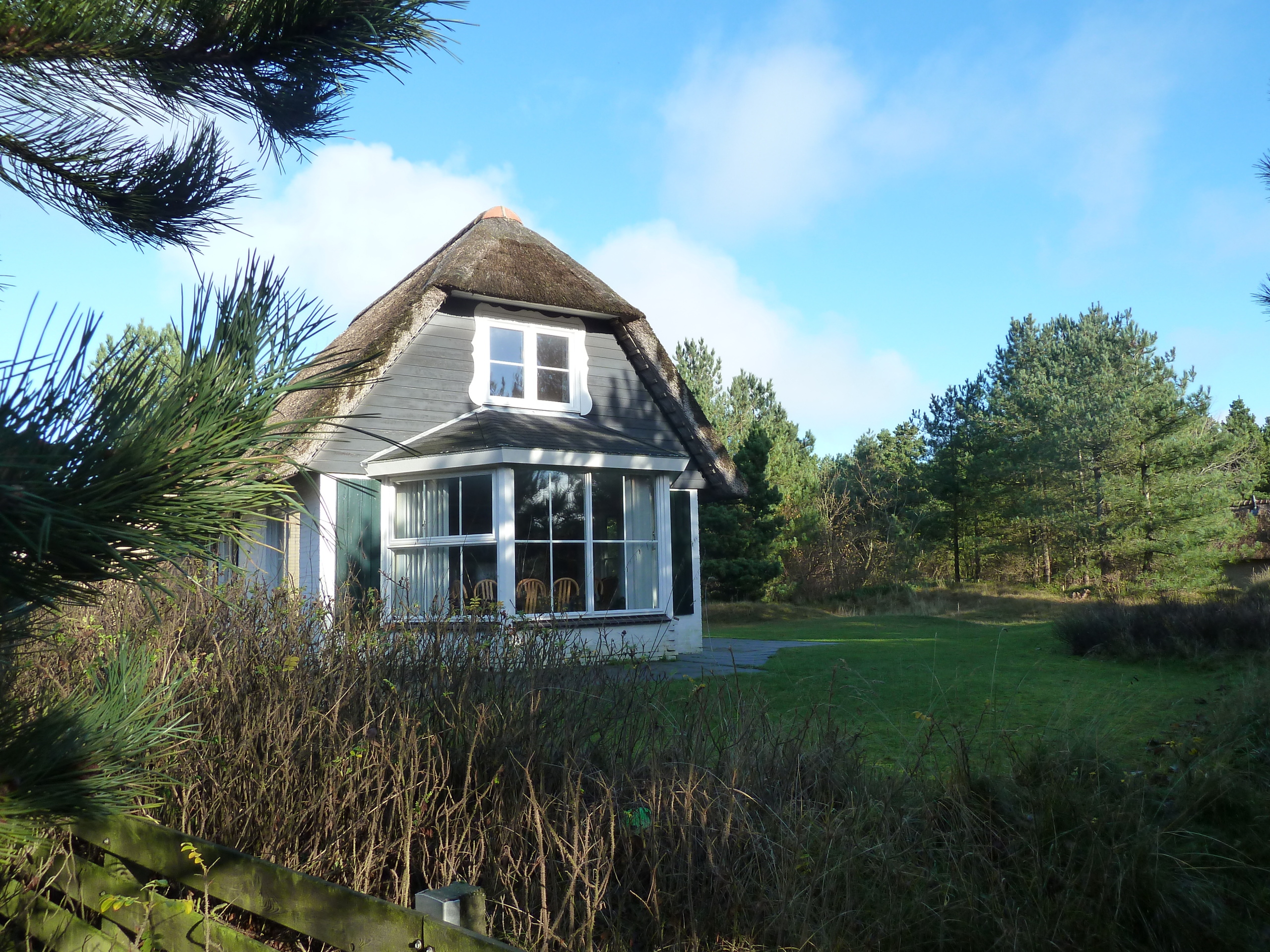 Vrijstaande rietgedekte bungalow nabij duingebied